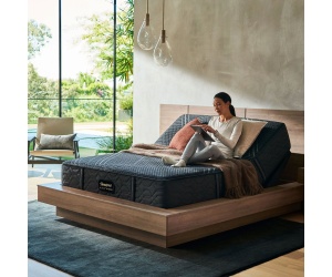 hybridseriesoneplush2