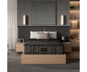 hybridseriestwoplush