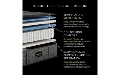 hybridseriesone3medium